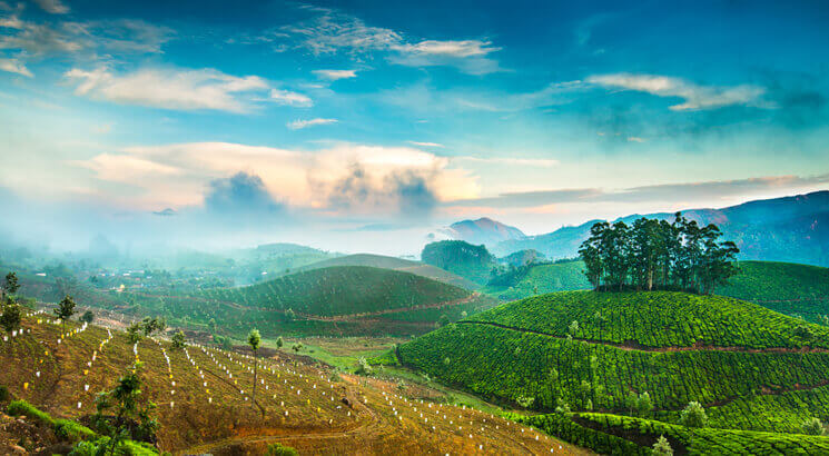  Best Time to Visit India
