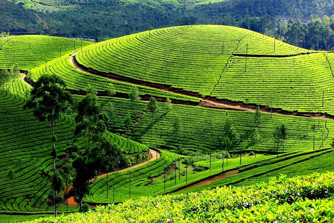 Best Places to Visit Kerala During Winter (November to February)