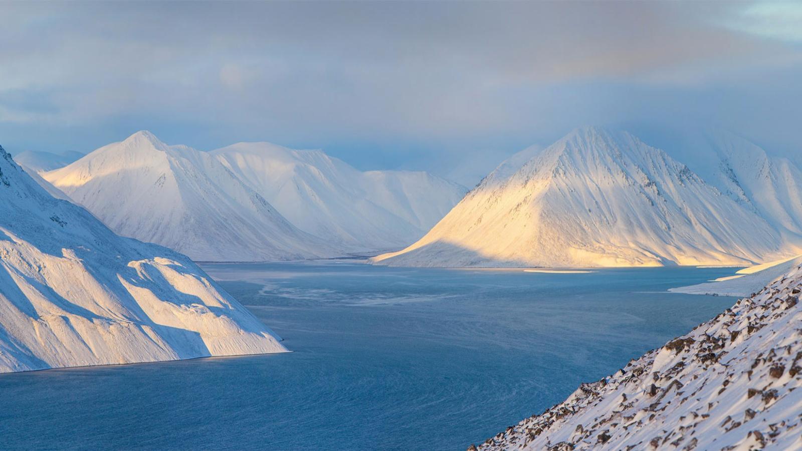 Arctic Wilderness Expedition – Svalbard Cruise Adventure