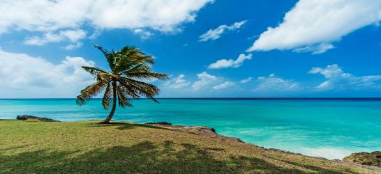 Barbados Bliss 8 Day All-Inclusive Beach & Leisure Escape