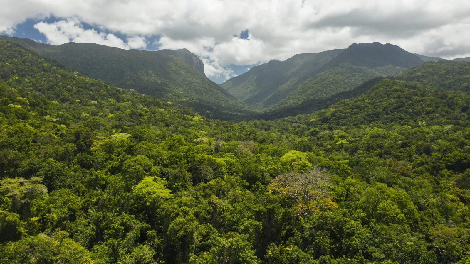 Australia Highlights From City Sights to Natural Wonders