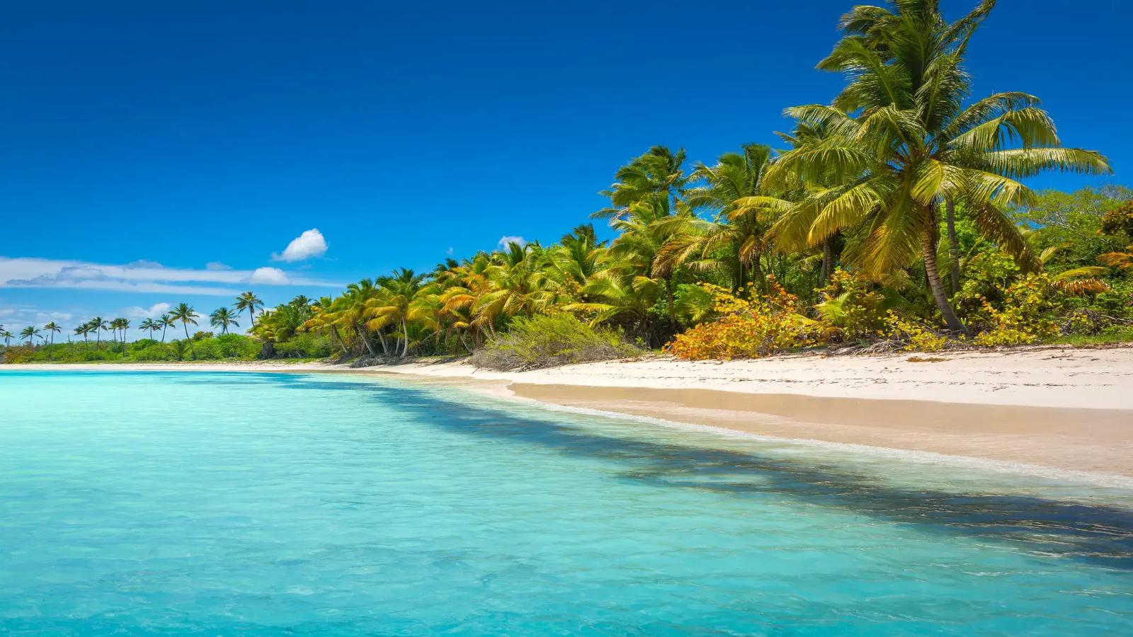 Caribbean Dreams A Punta Cana Luxury Escape