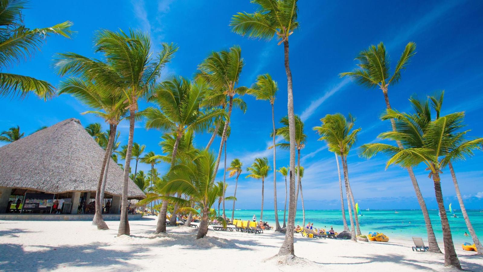 Caribbean Dreams A Punta Cana Luxury Escape