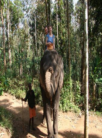 11 Days Kerala Explorer