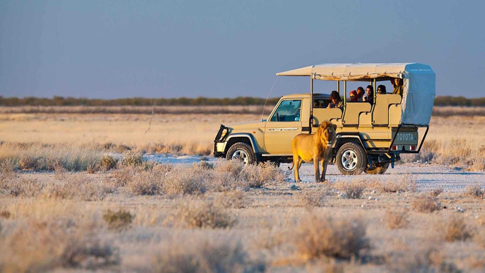 Namibia Discovery – Dunes, Desert & Wildlife Adventure