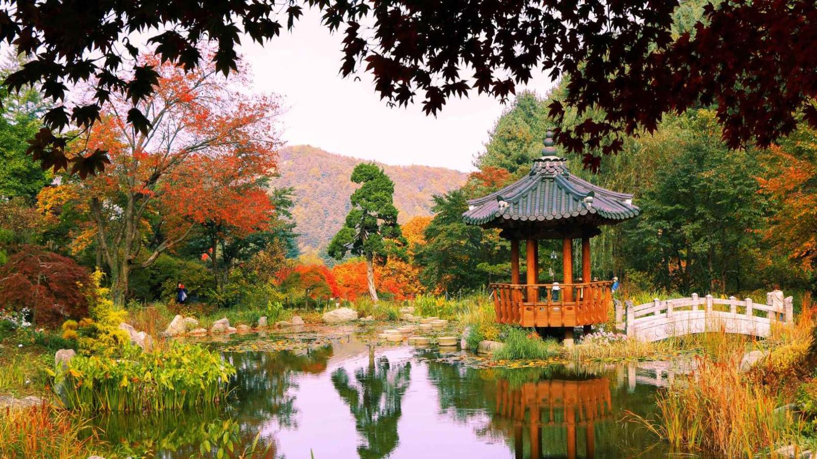 Best of South Korea Seoul, Nami Island & Busan Escape