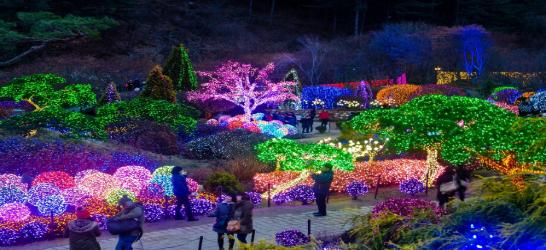 Best of South Korea Seoul, Nami Island & Busan Escape