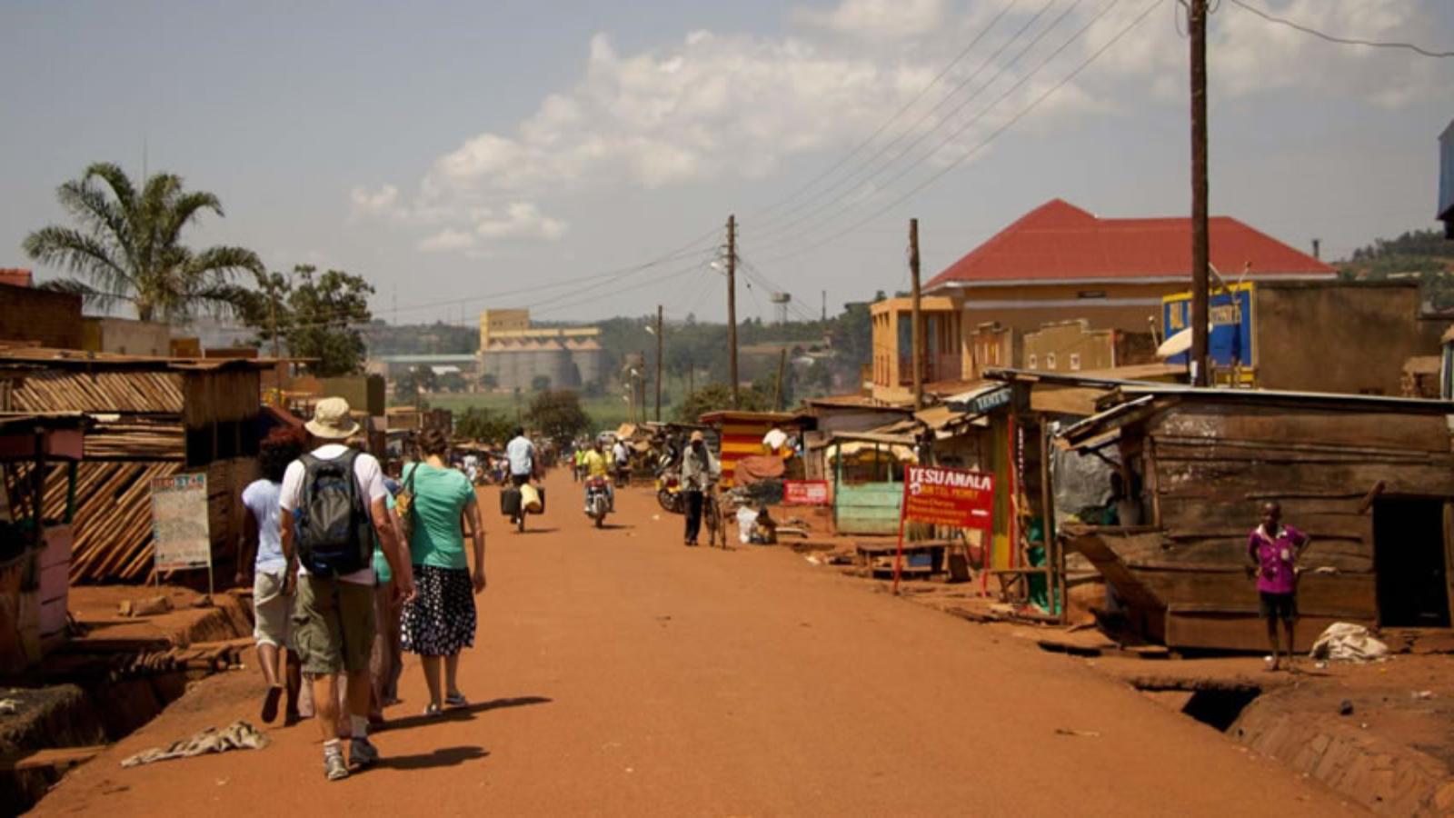 Ultimate Uganda Wildlife & Gorilla Safari