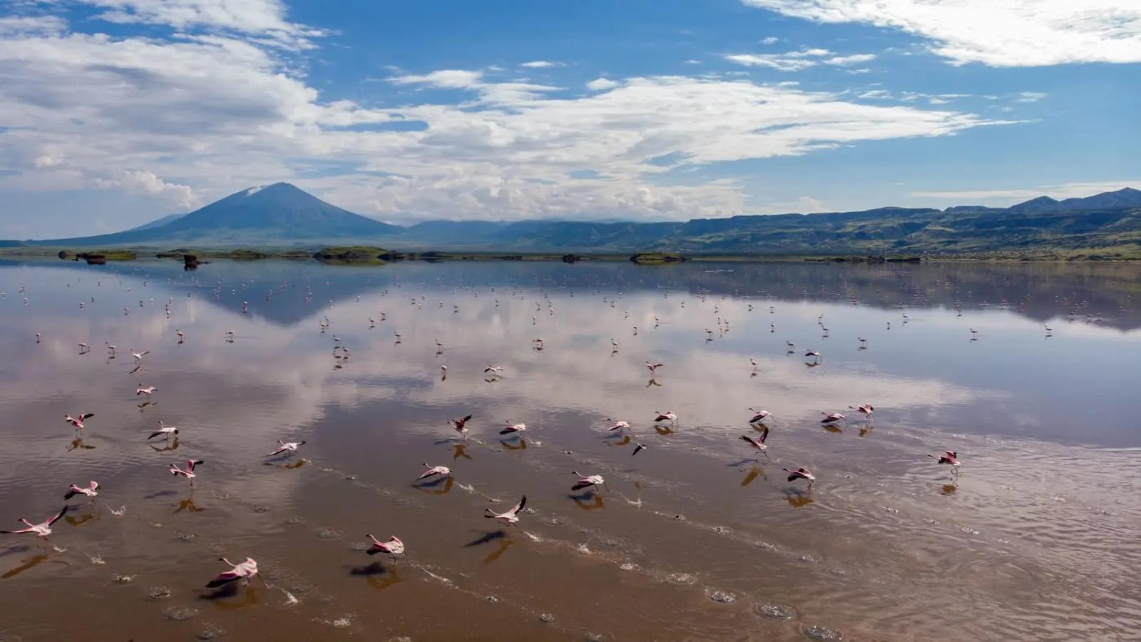 Tanzania & Zanzibar Discovery From Safari to Sea