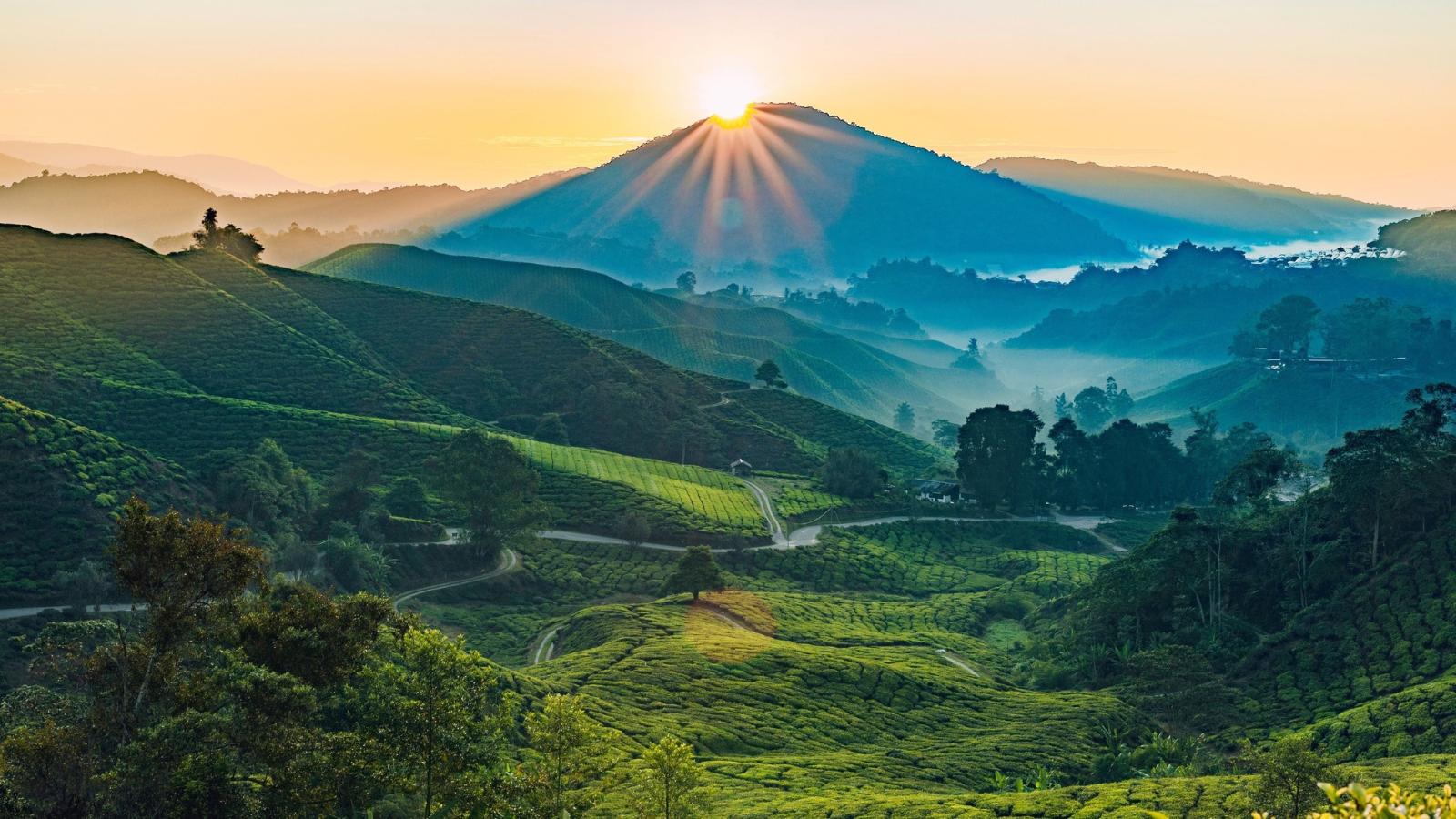 10 Days Essence of Kerala: Backwaters, Beaches & Culture