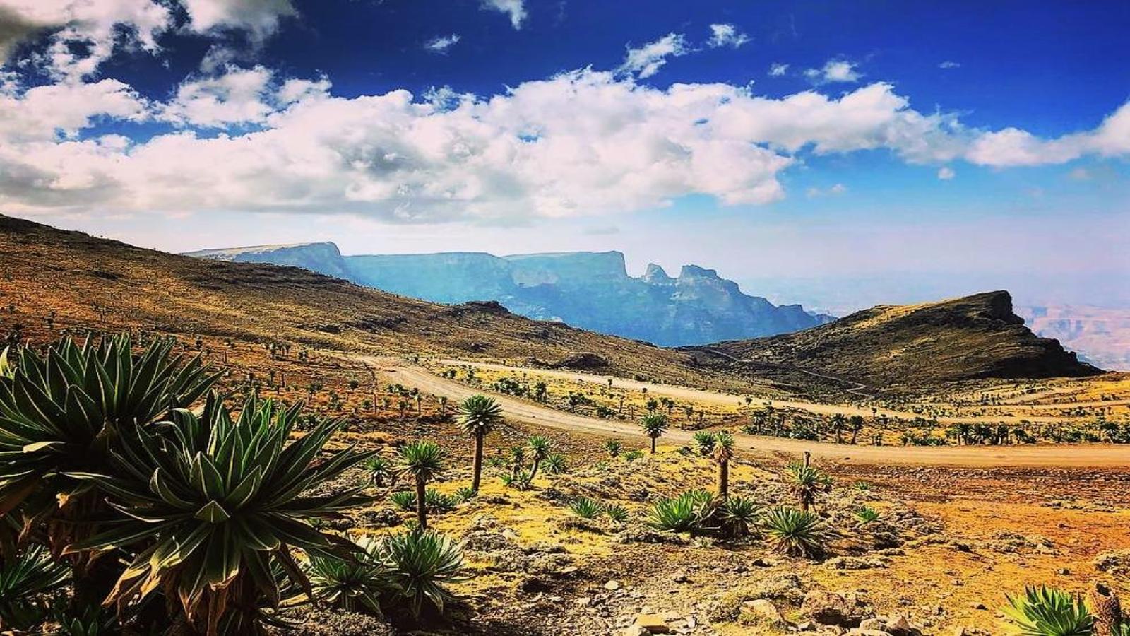 Ethiopia Cradle of Civilisation & Ancient Kingdoms