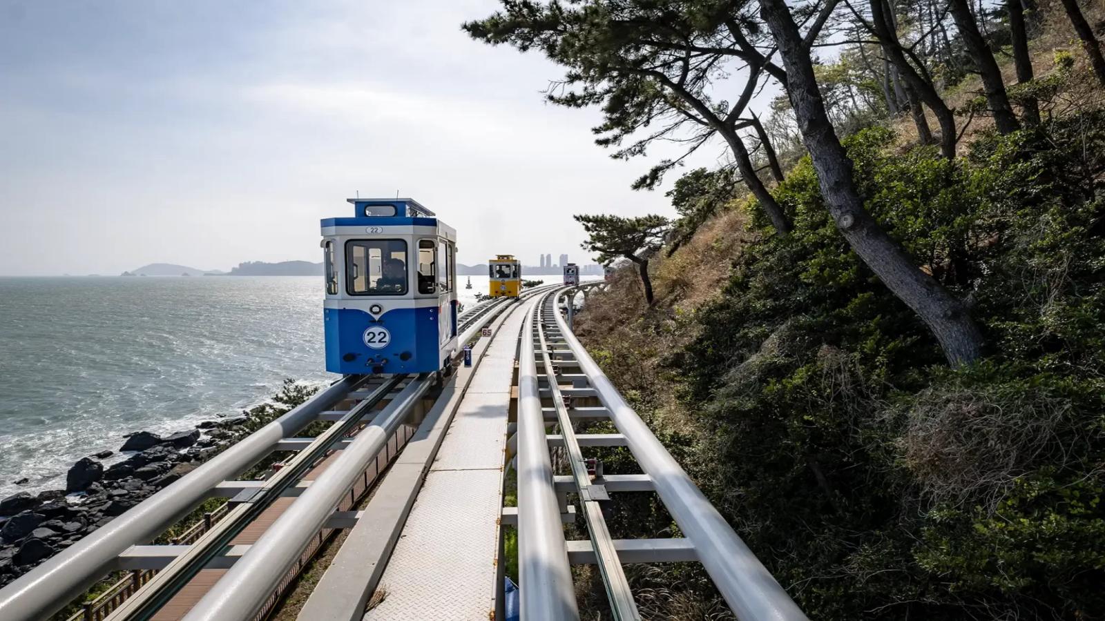 Best of South Korea Seoul, Nami Island & Busan Escape