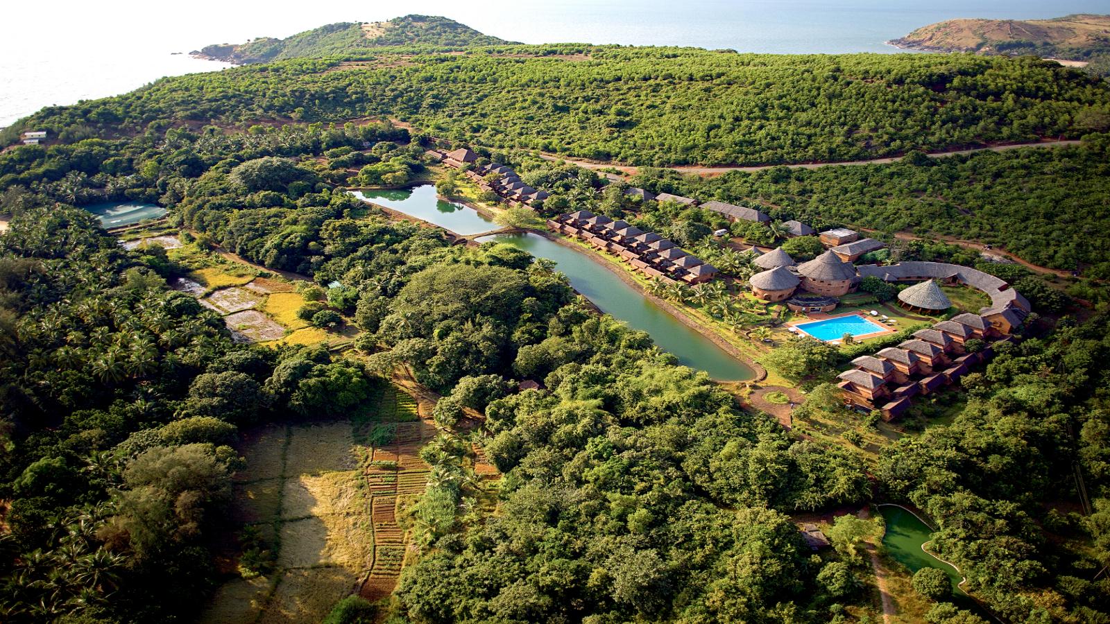 14 Days Serene Wellness Retreat: Yoga, Ayurveda & Beachside Bliss in Goa & Gokarna