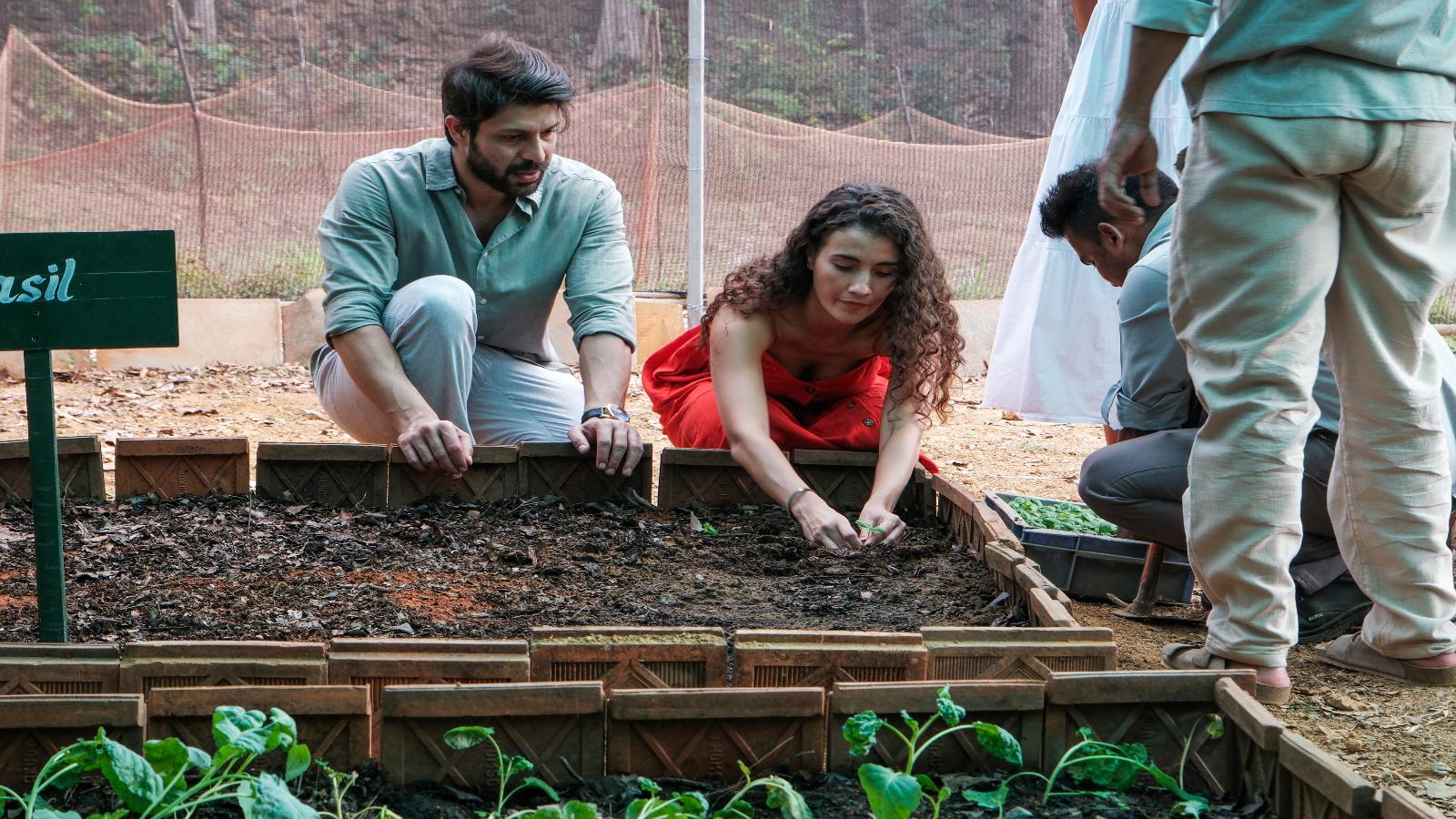 14 Days Serene Wellness Retreat: Yoga, Ayurveda & Beachside Bliss in Goa & Gokarna