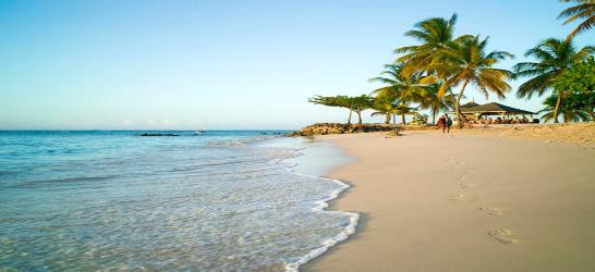 The Best of Trinidad & Tobago