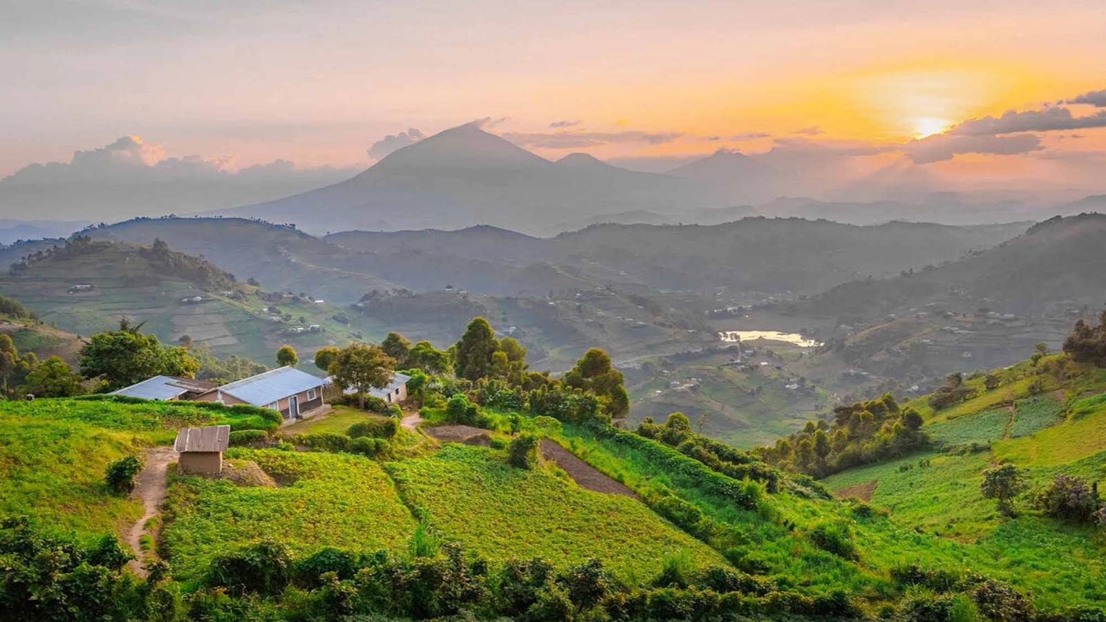 Ultimate Uganda Wildlife & Gorilla Safari