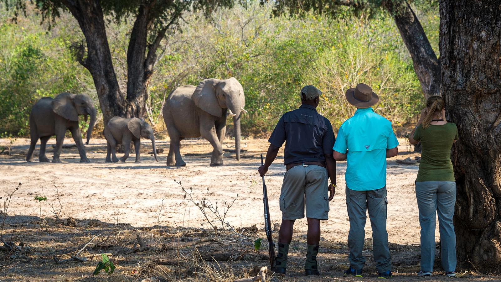 10 Days Zimbabwe Safari Adventure