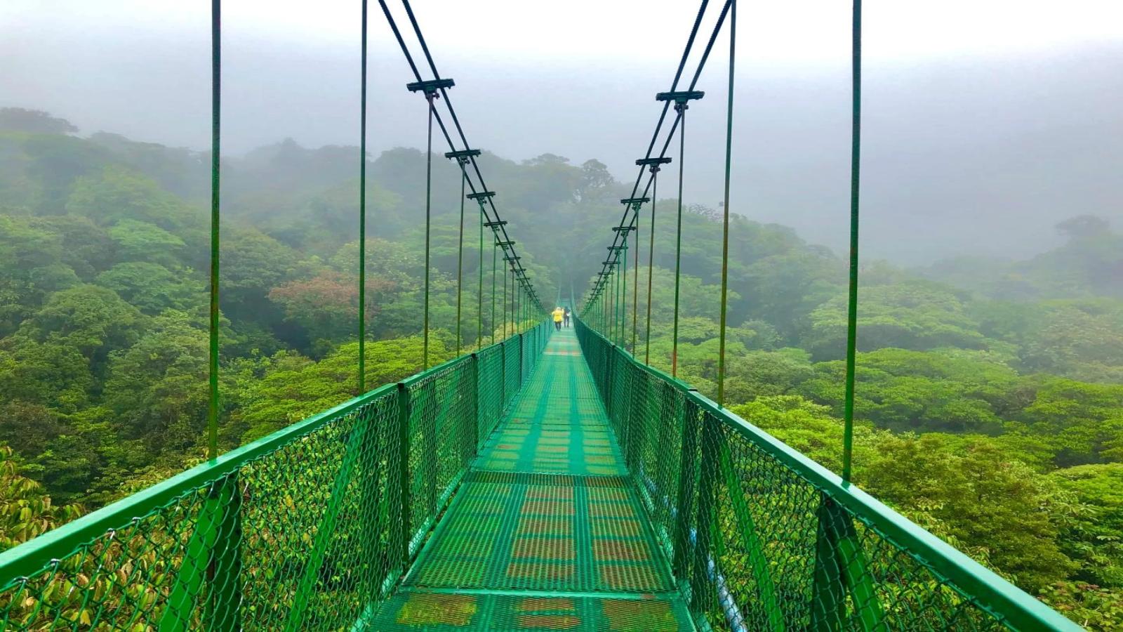 Enchanting Costa Rica  Rainforests, Volcanoes & Wildlife Adventure