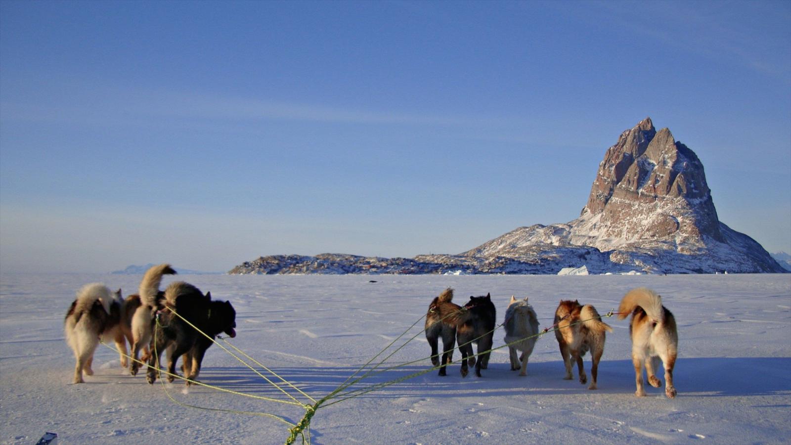 Greenland Icefjord & Arctic Culture Tour