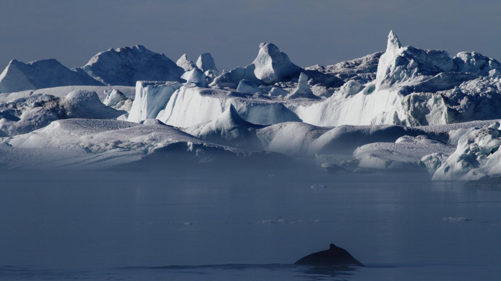 Greenland Icefjord & Arctic Culture Tour